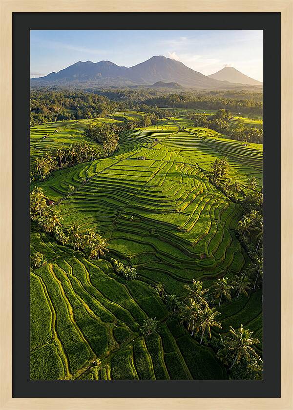 Drone Rice Terraces