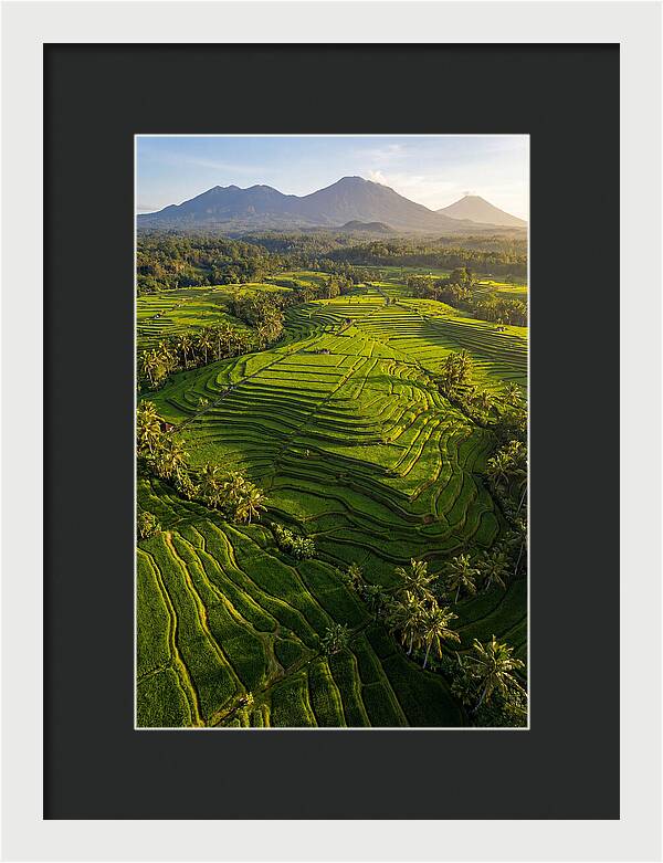 Drone Rice Terraces