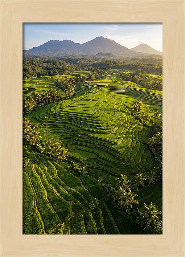 Drone Rice Terraces