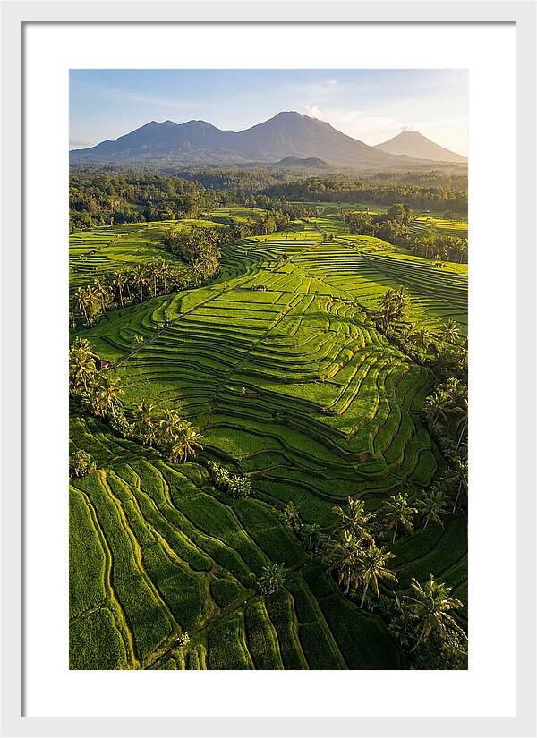 Drone Rice Terraces