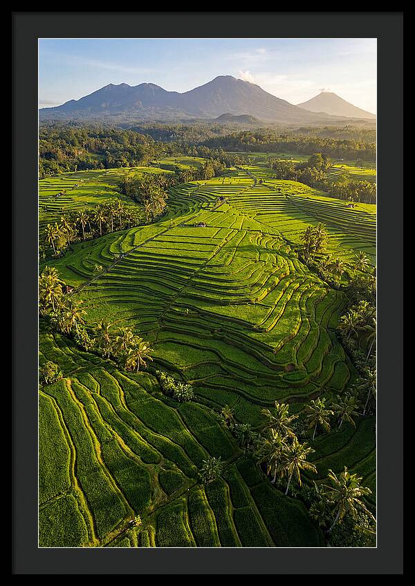 Drone Rice Terraces