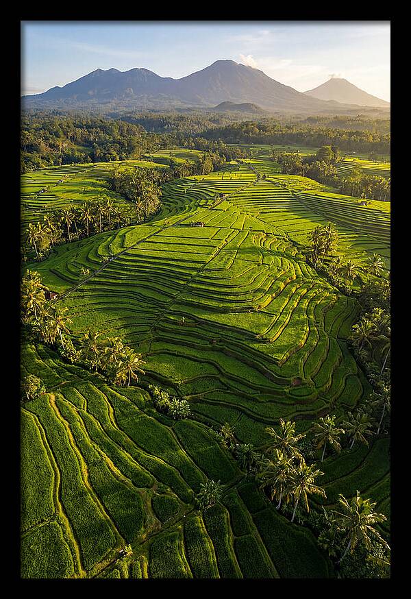 Drone Rice Terraces