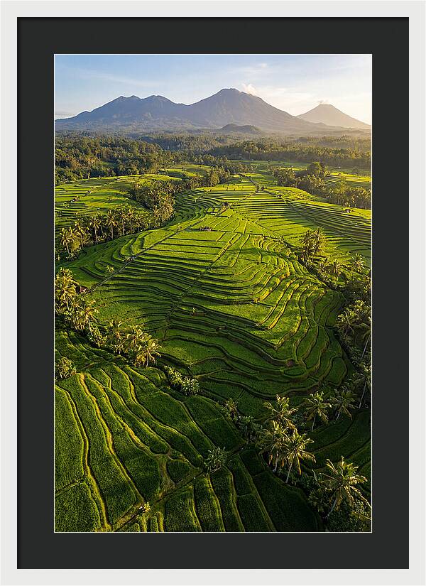 Drone Rice Terraces