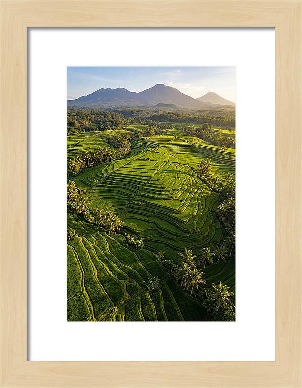 Drone Rice Terraces