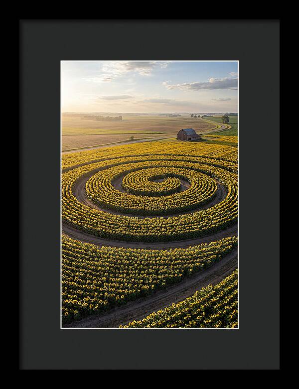 Drone Sunflower Spiral Maze
