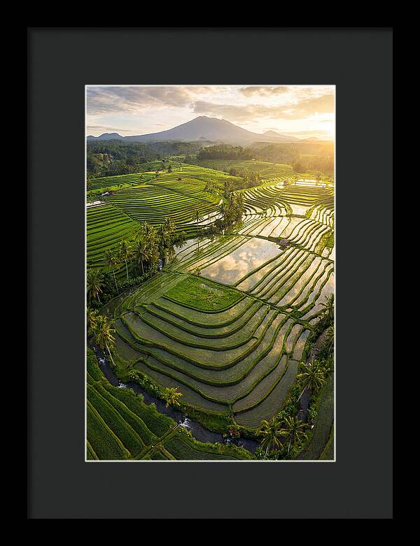 Drone View Of Lush Rice Terraces