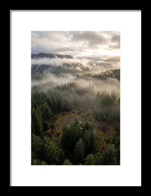 Drones Eye View Of Misty Forest