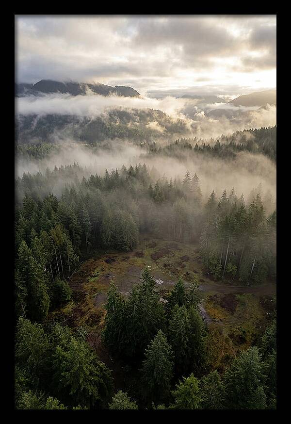Drones Eye View Of Misty Forest