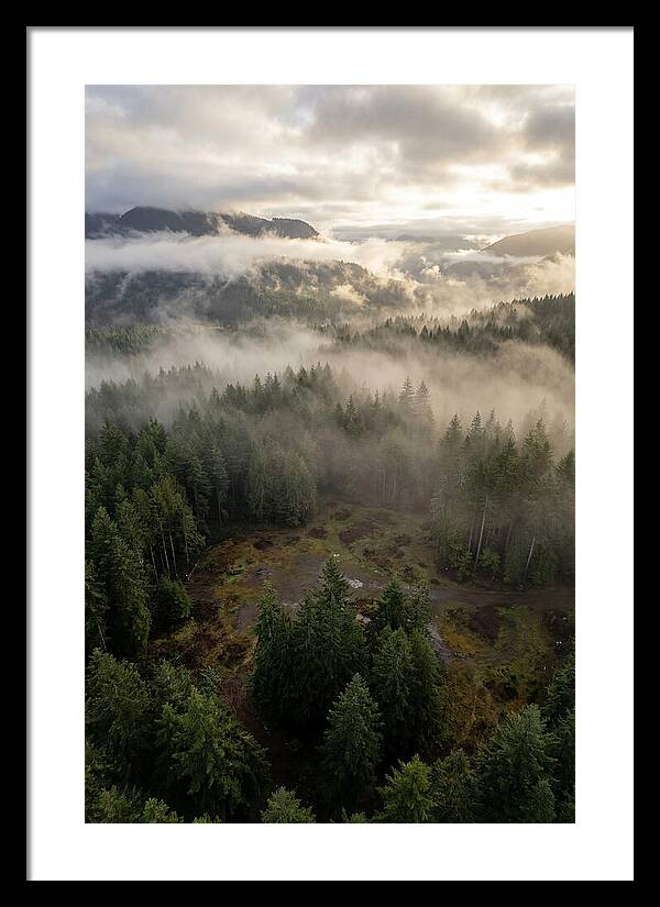Drones Eye View Of Misty Forest
