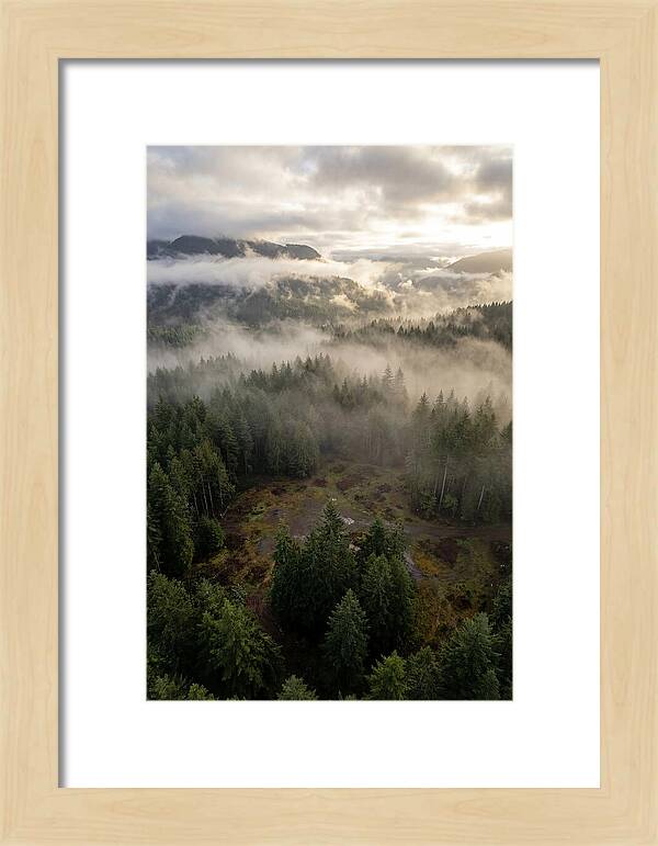 Drones Eye View Of Misty Forest