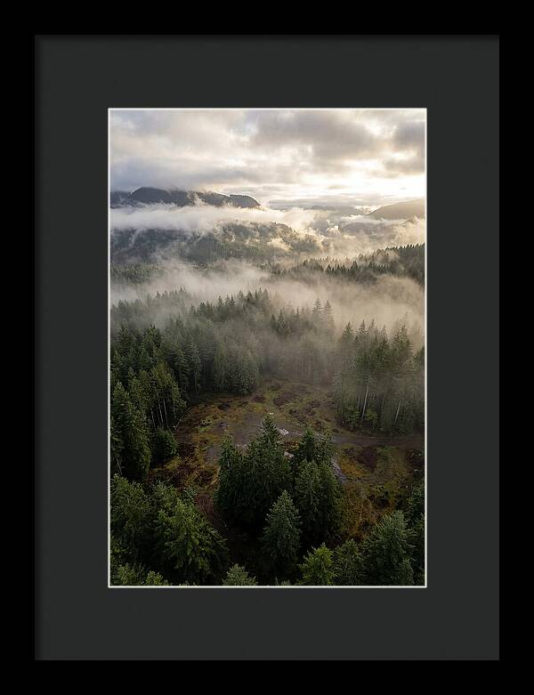 Drones Eye View Of Misty Forest