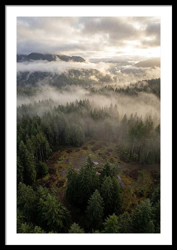 Drones Eye View Of Misty Forest