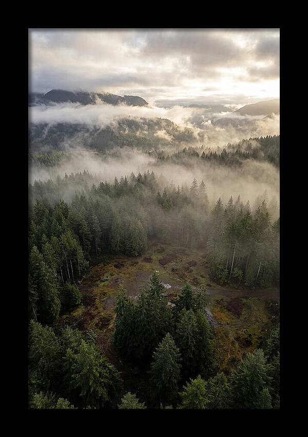 Drones Eye View Of Misty Forest