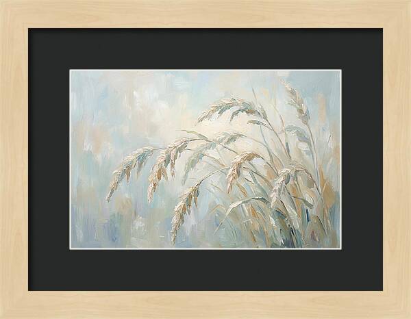 Drooping Graceful Carex