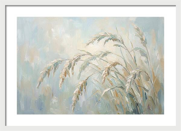 Drooping Graceful Carex