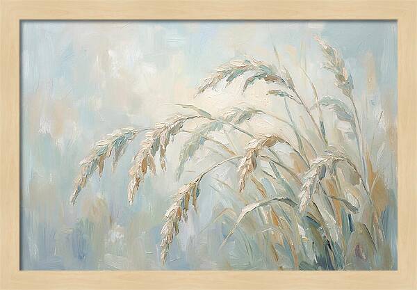 Drooping Graceful Carex