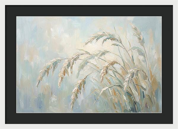 Drooping Graceful Carex