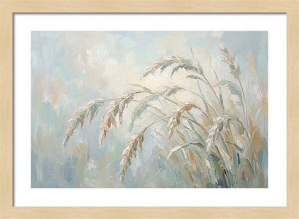 Drooping Graceful Carex