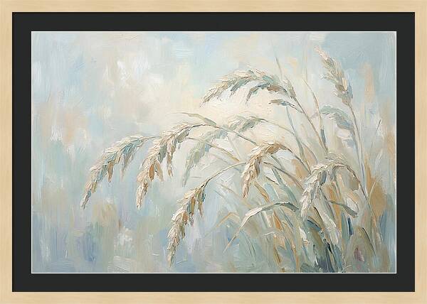 Drooping Graceful Carex