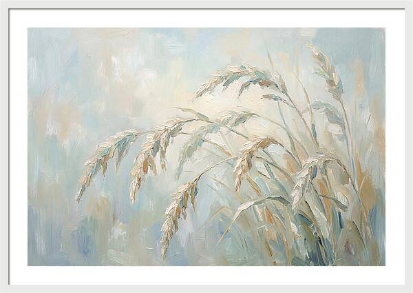 Drooping Graceful Carex