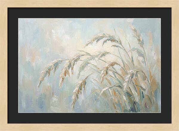 Drooping Graceful Carex