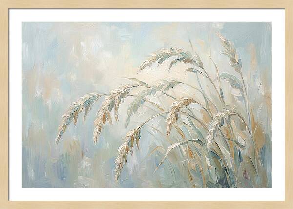 Drooping Graceful Carex