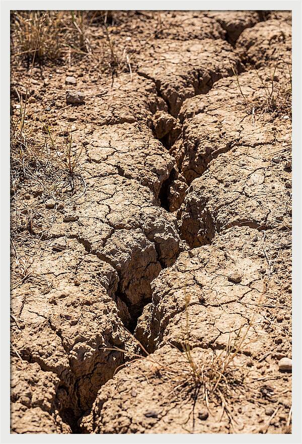 Droughts Desolate Landscape