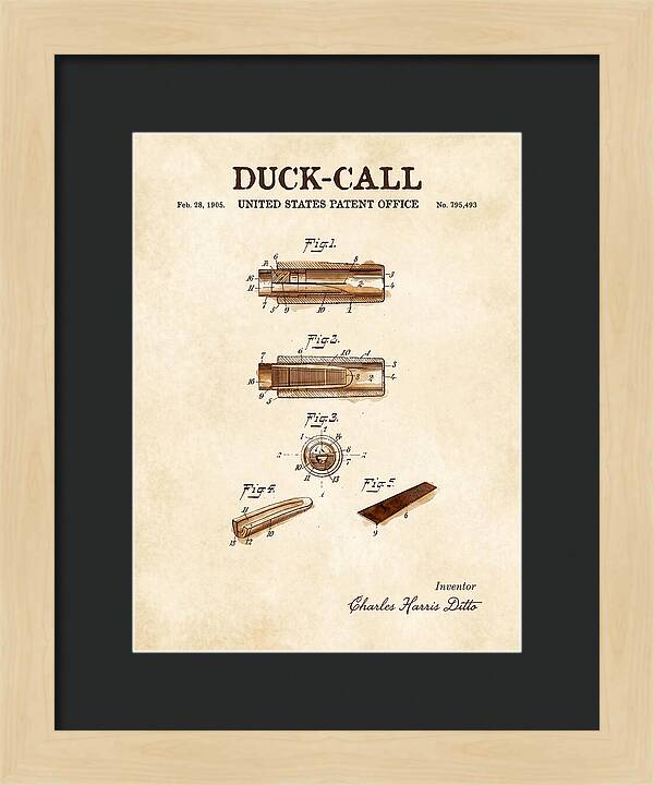 Duck Call Watercolor Patent Us795493a
