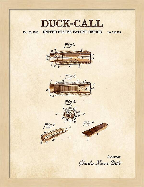 Duck Call Watercolor Patent Us795493a