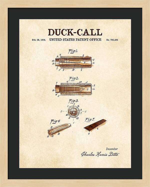 Duck Call Watercolor Patent Us795493a