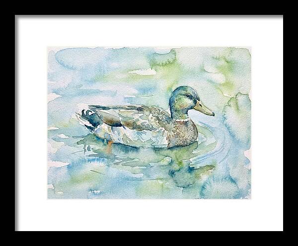 Duck Swimming In Tranquil Waters