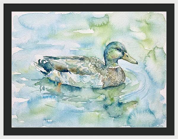 Duck Swimming In Tranquil Waters
