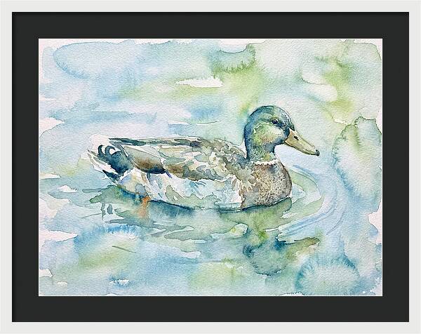 Duck Swimming In Tranquil Waters