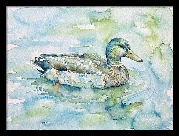 Duck Swimming In Tranquil Waters