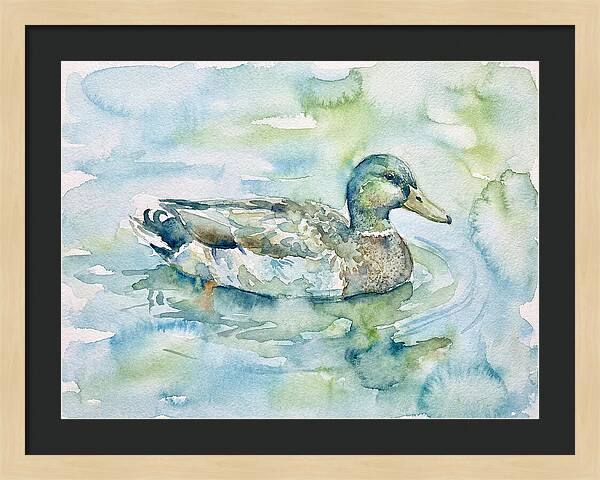 Duck Swimming In Tranquil Waters