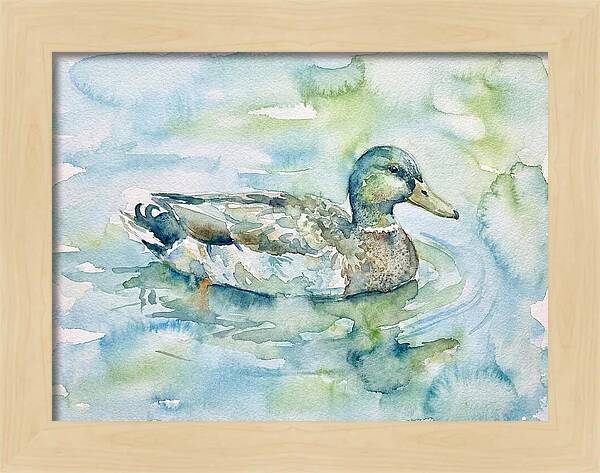 Duck Swimming In Tranquil Waters