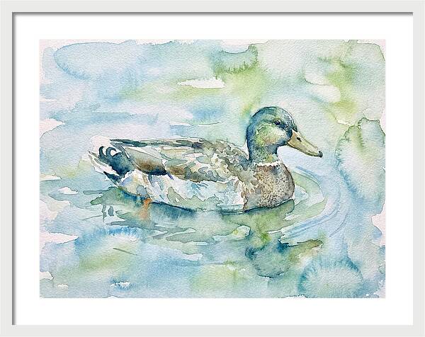 Duck Swimming In Tranquil Waters