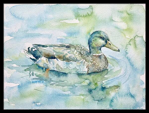 Duck Swimming In Tranquil Waters