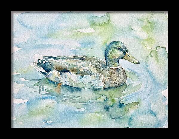 Duck Swimming In Tranquil Waters