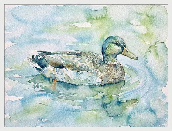 Duck Swimming In Tranquil Waters