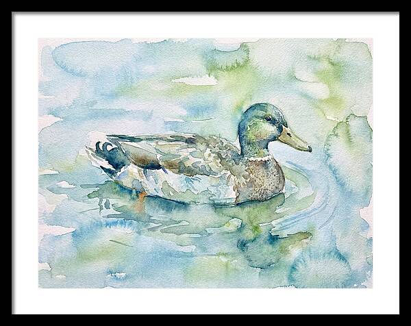 Duck Swimming In Tranquil Waters