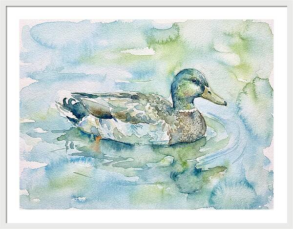 Duck Swimming In Tranquil Waters