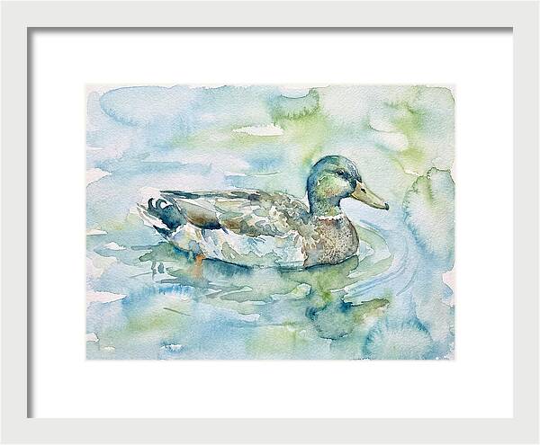 Duck Swimming In Tranquil Waters