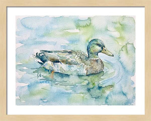 Duck Swimming In Tranquil Waters