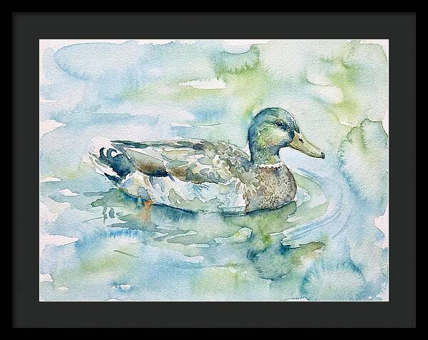 Duck Swimming In Tranquil Waters