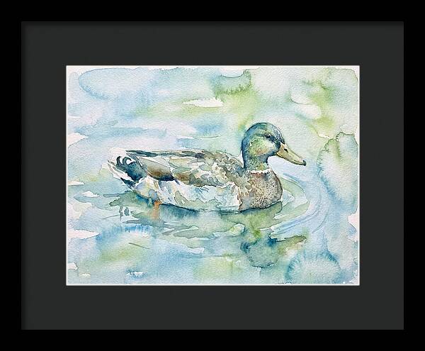 Duck Swimming In Tranquil Waters