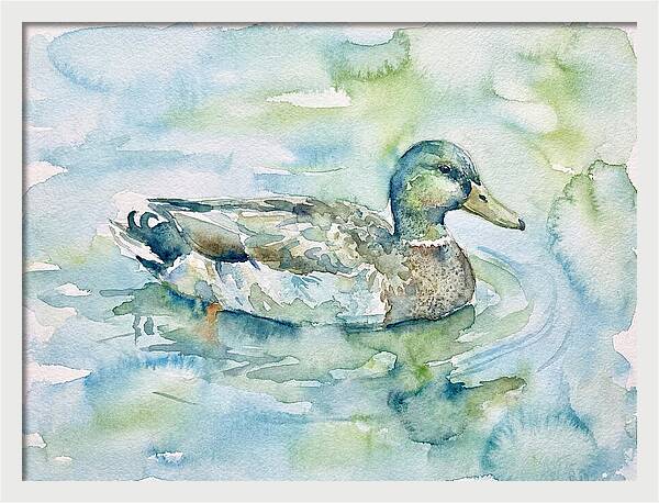 Duck Swimming In Tranquil Waters