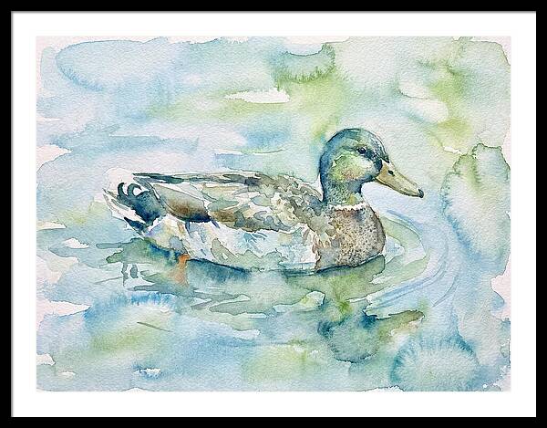 Duck Swimming In Tranquil Waters