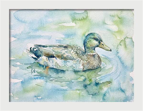Duck Swimming In Tranquil Waters