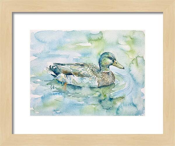 Duck Swimming In Tranquil Waters